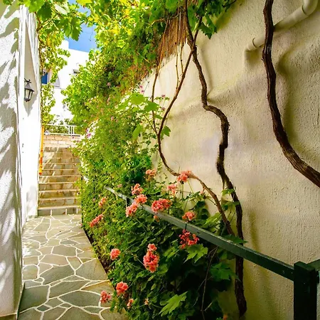 Casa de hóspedes Comfort Double Or Twin Or Semi-basement