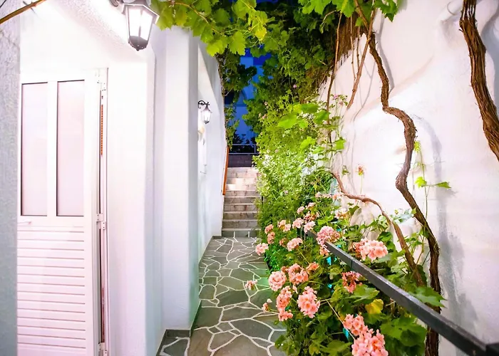 Comfort Double Or Twin Or Semi-basement Guest house Parikia (Paros)