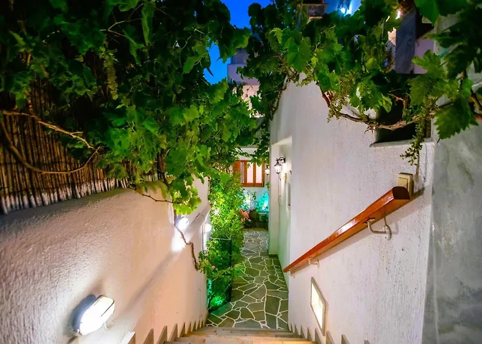 招待所 Comfort Double Or Twin Or Semi-basement