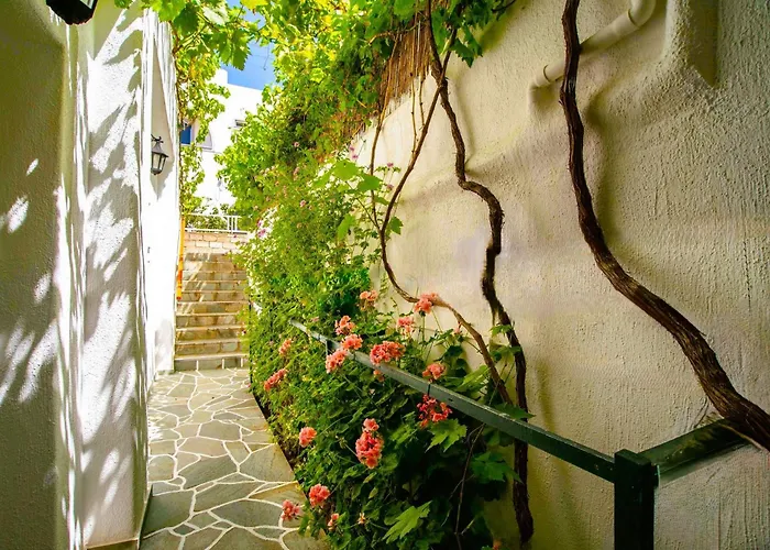 Guest house Comfort Double Or Twin Or Semi-basement